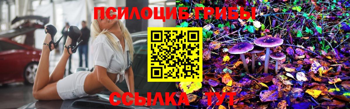 Псилоцибиновые грибы MAGIC MUSHROOMS Кемерово