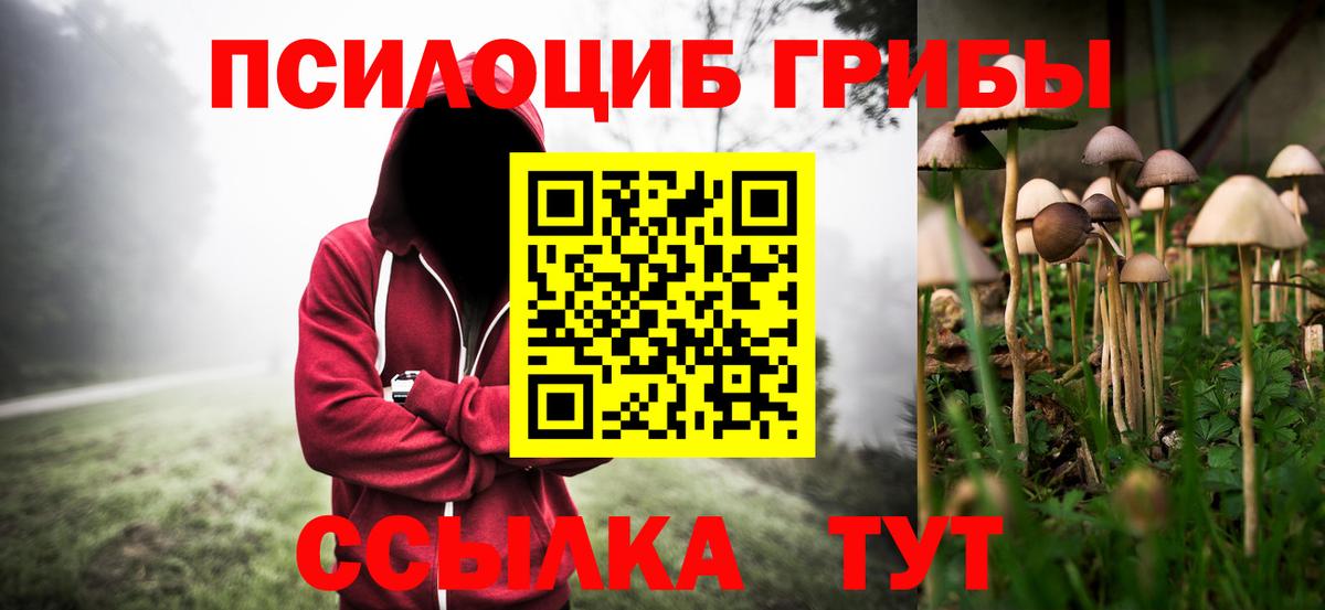 Псилоцибиновые грибы Magic Shrooms  Вход с VPN  Кемерово  Галлюциногенные грибы Magic Shrooms 